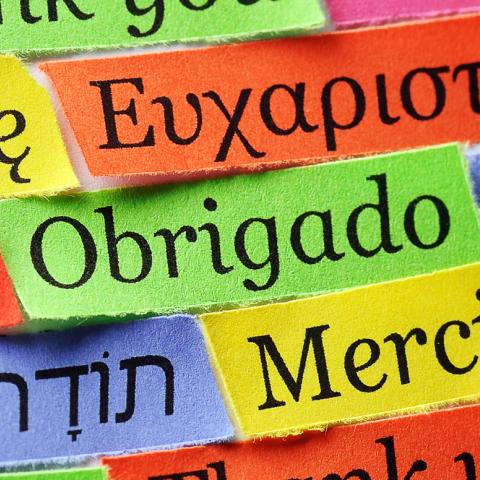 Phrases in different languages