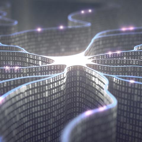 Neuronal network