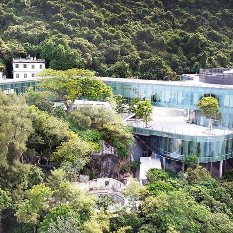 Campus in Hong Kong