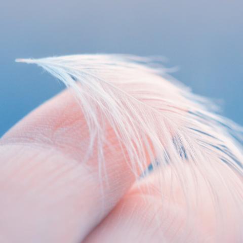 Finger holding a feather