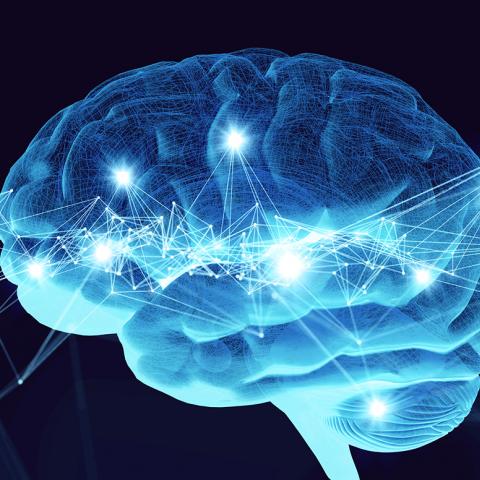 Illustration of brain