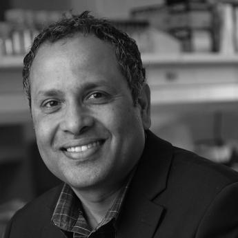 Rama Ranganathan BW
