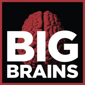 Big Brains logo